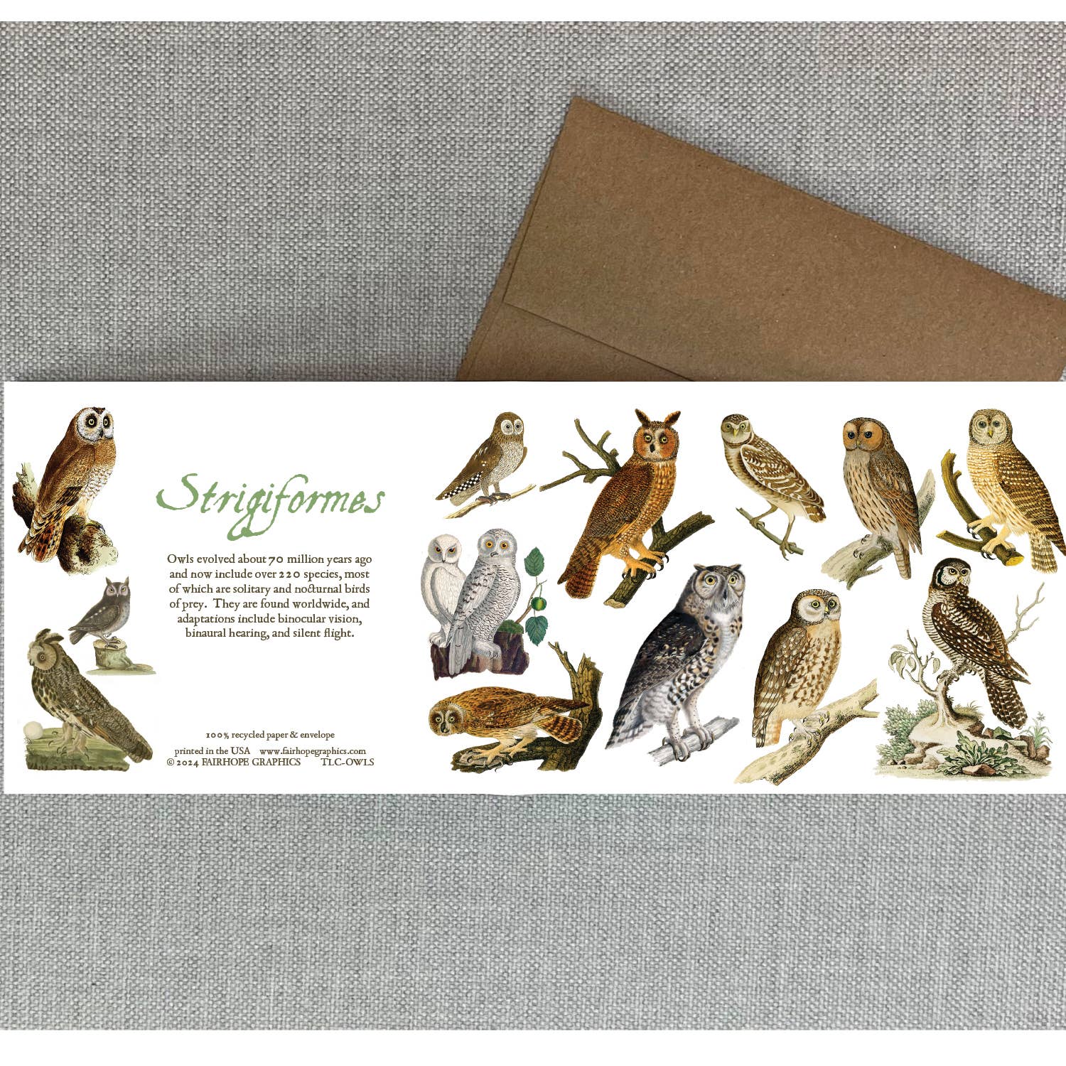 Owls Card - The Regal Find