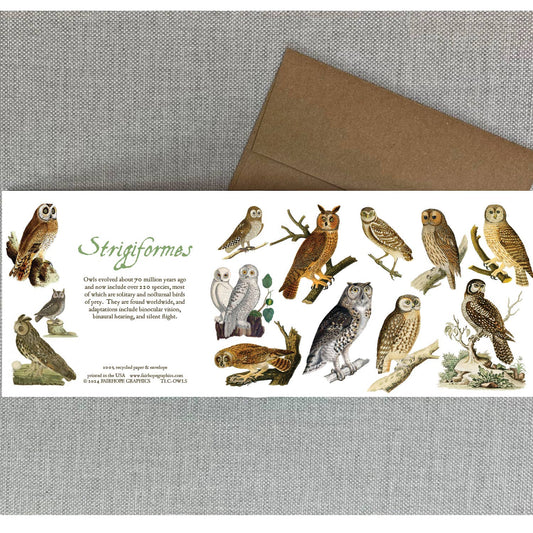 Owls Card - The Regal Find