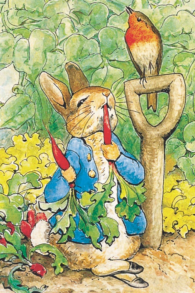 Peter Rabbit Mini - 20 Piece Mini Puzzle - The Regal Find