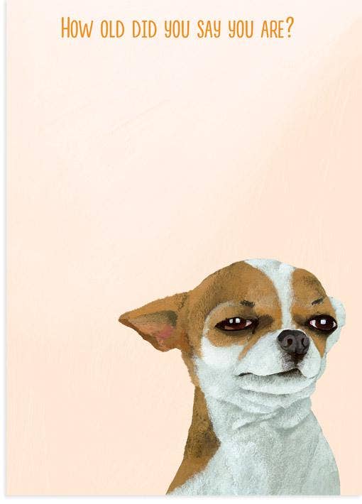 Suspicious Dog Birthday Cad - The Regal Find