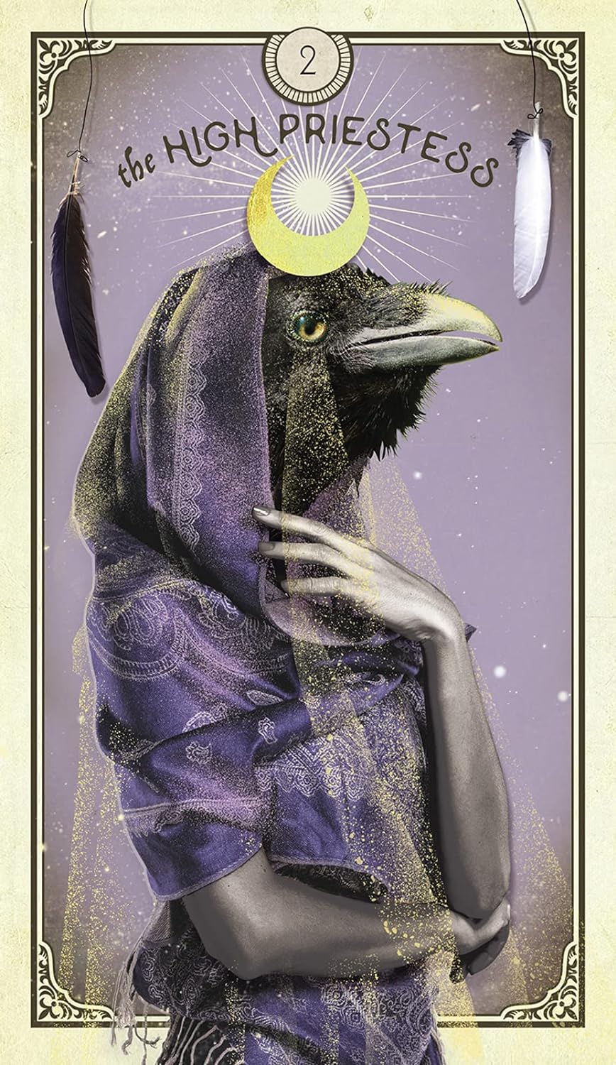 Tarot of Curious Creatures - The Regal Find