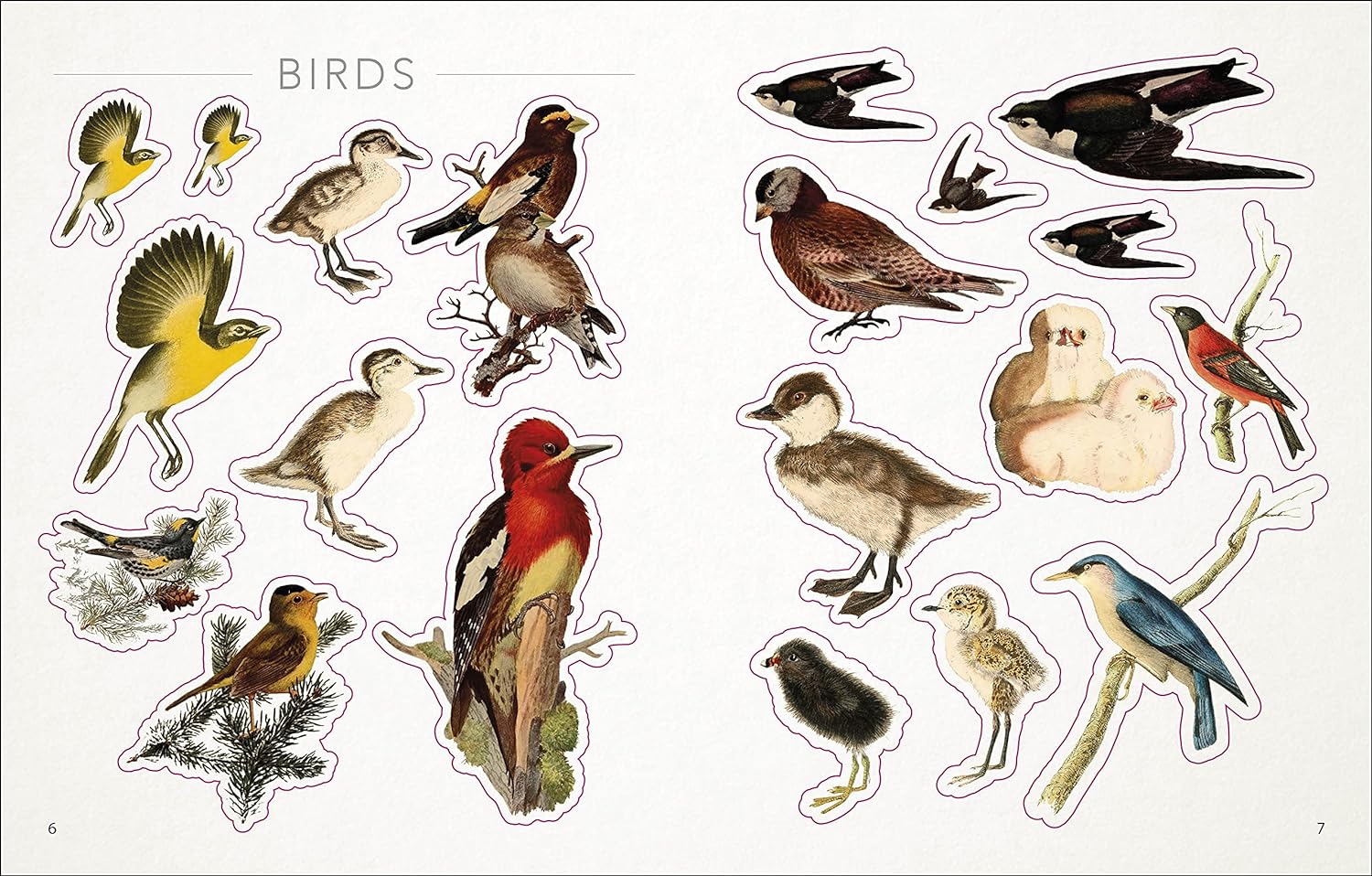 The Bees, Birds & Butterflies Sticker Anthology - The Regal Find