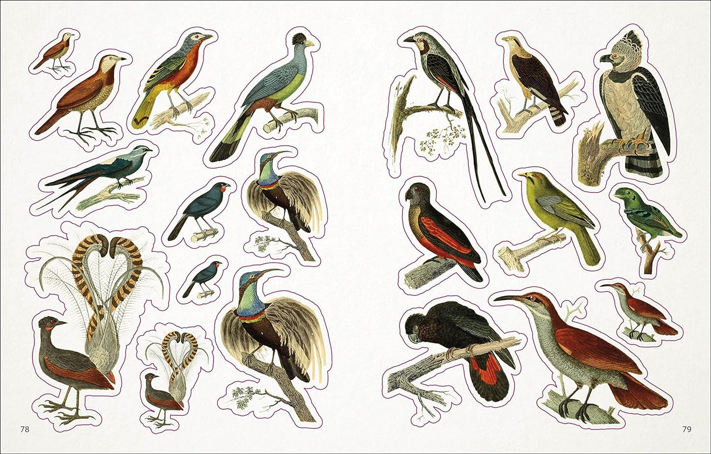 The Bees, Birds & Butterflies Sticker Anthology - The Regal Find