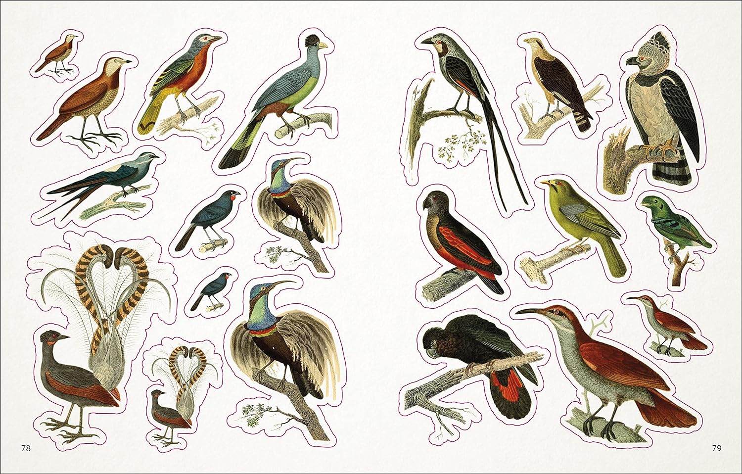 The Bees, Birds & Butterflies Sticker Anthology - The Regal Find