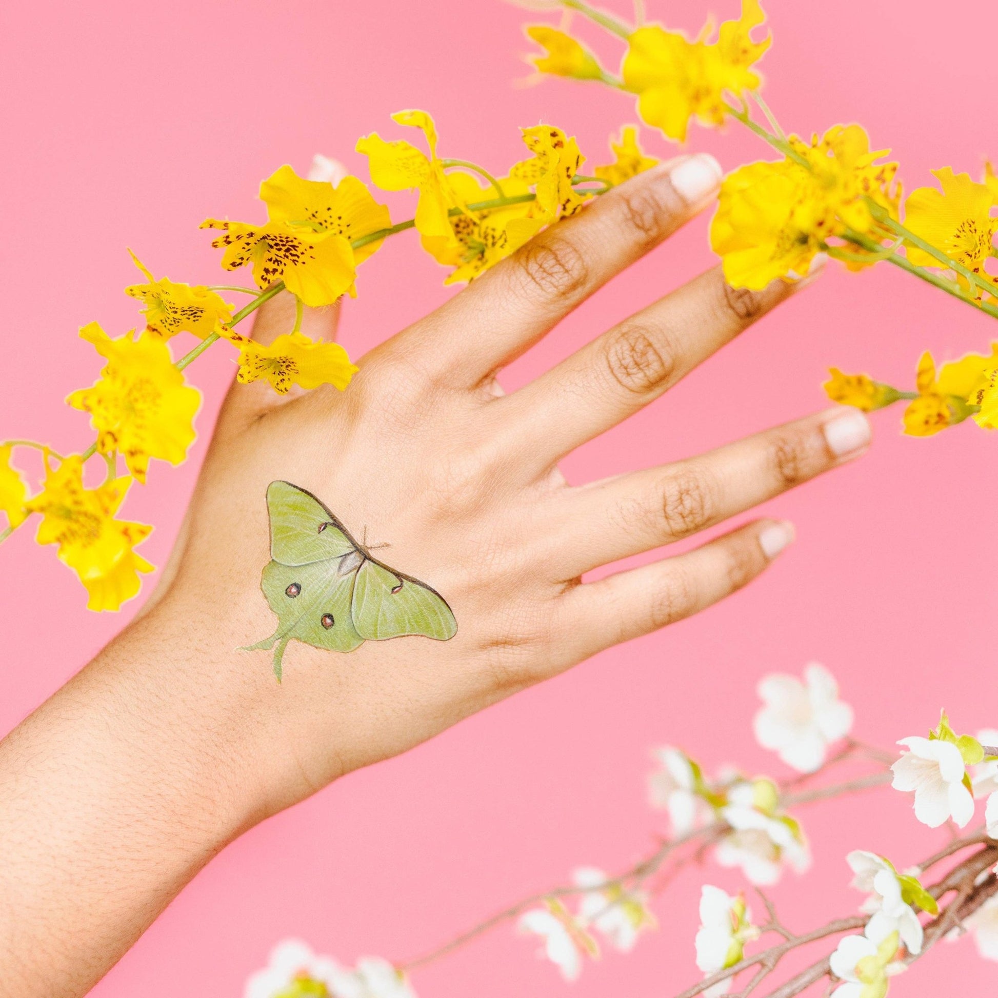 Tiny Butterfly Tattoo Tin - The Regal Find