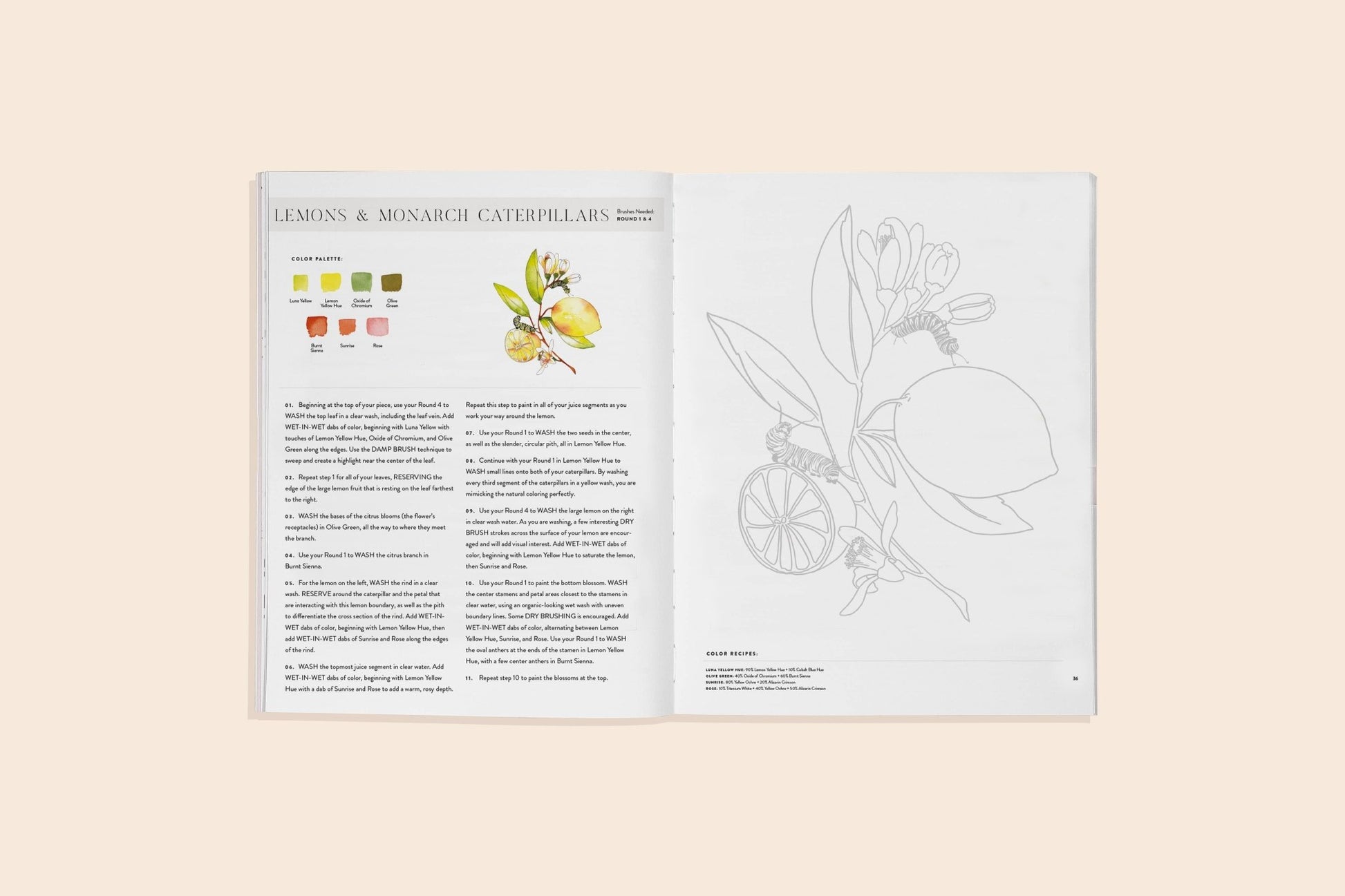 Watercolor Workbook 2 - The Regal Find