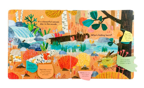 Who's Hiding in the Woods? Board Book - The Regal Find