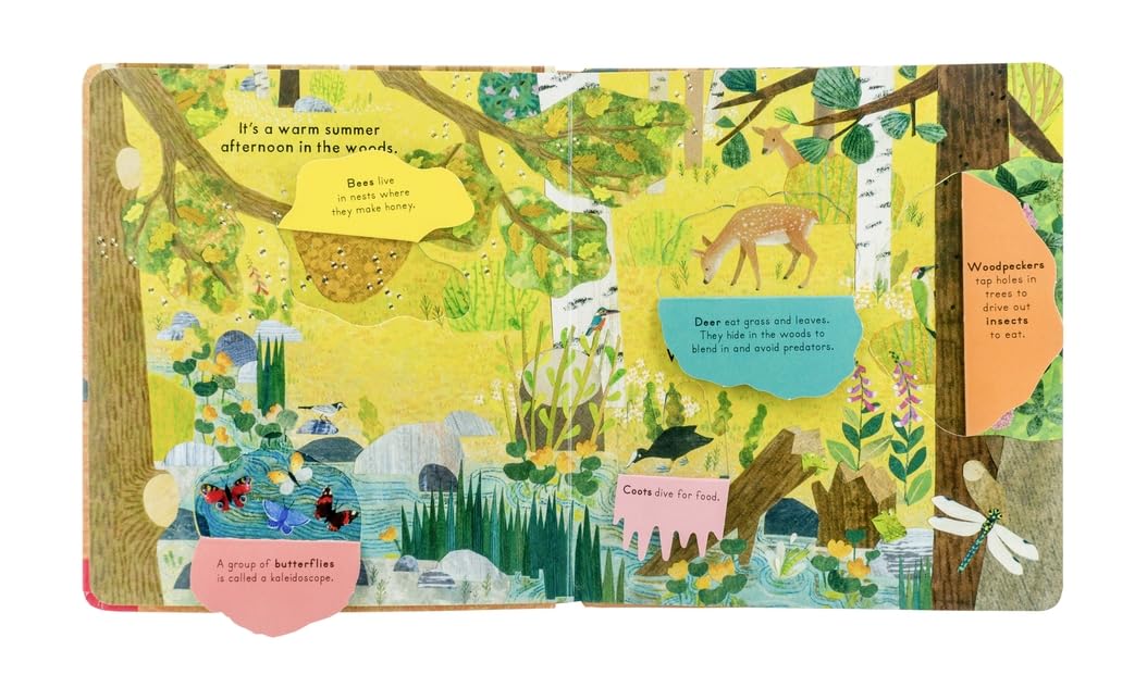 Who's Hiding in the Woods? Board Book - The Regal Find