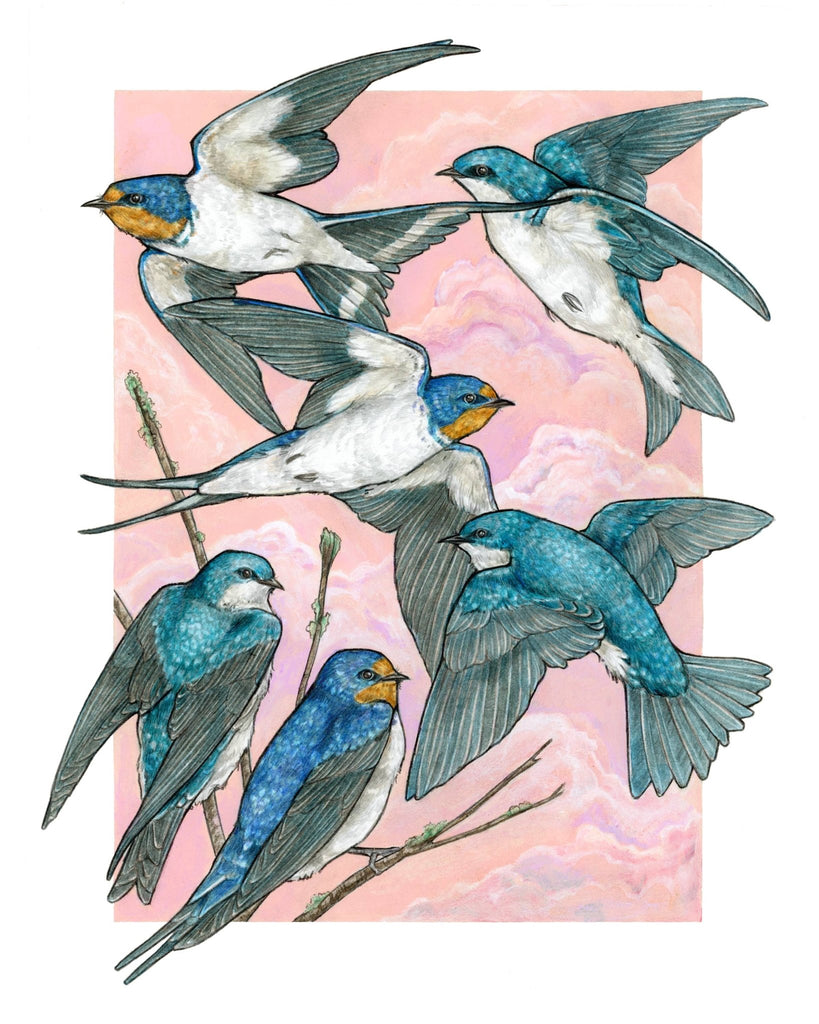 A Flight of Swallows - Archival Print: 8x10" - The Regal Find