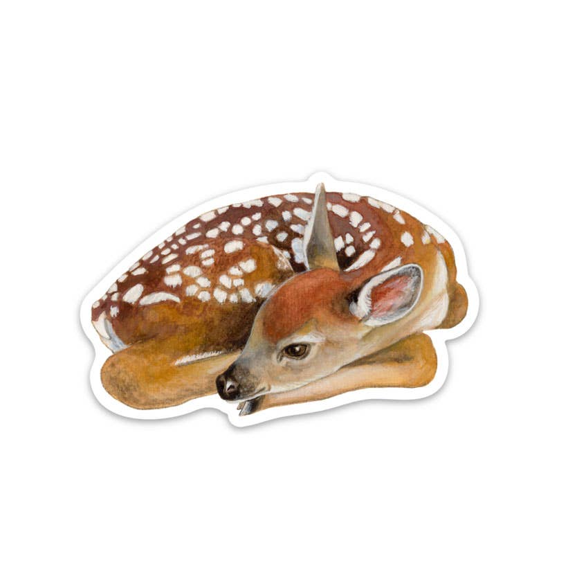 Baby Deer - Vinyl STICKER - The Regal Find