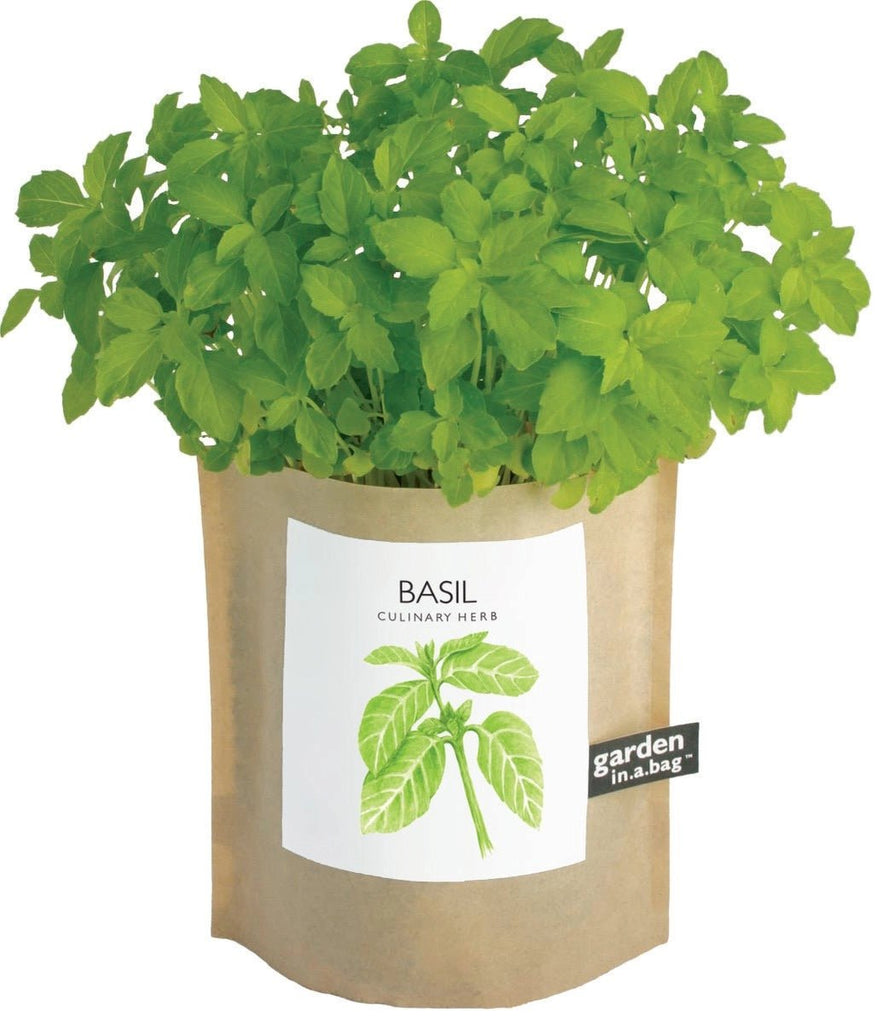 Basil Garden in a Bag - The Regal Find
