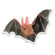 Bat Sticker - The Regal Find