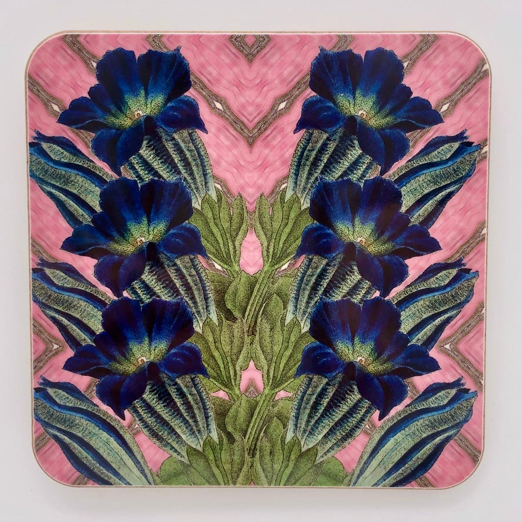 Birch Coasters - The Regal Find