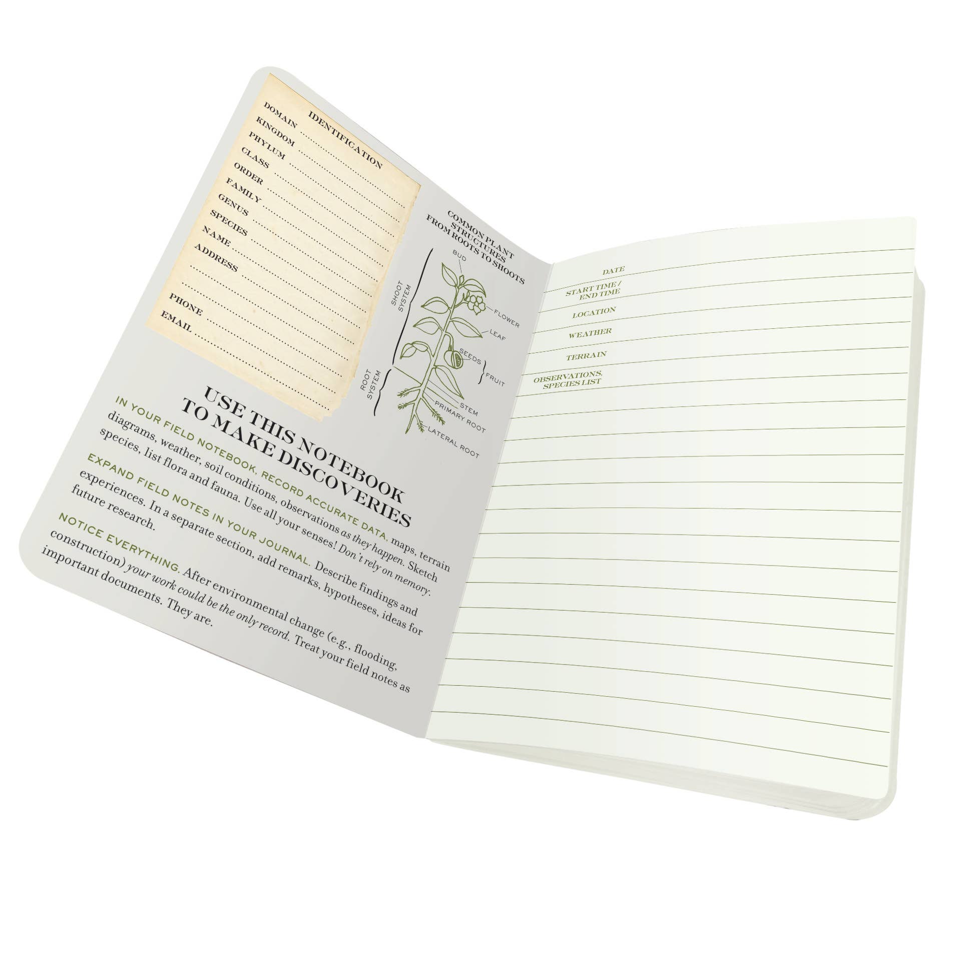 Botany Naturalist's Notebook - The Regal Find