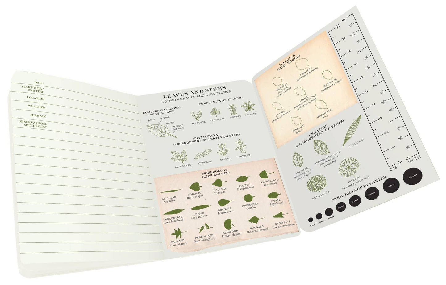 Botany Naturalist's Notebook - The Regal Find