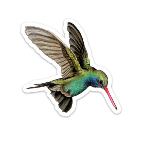 Broad-billed Hummingbird STICKER - The Regal Find