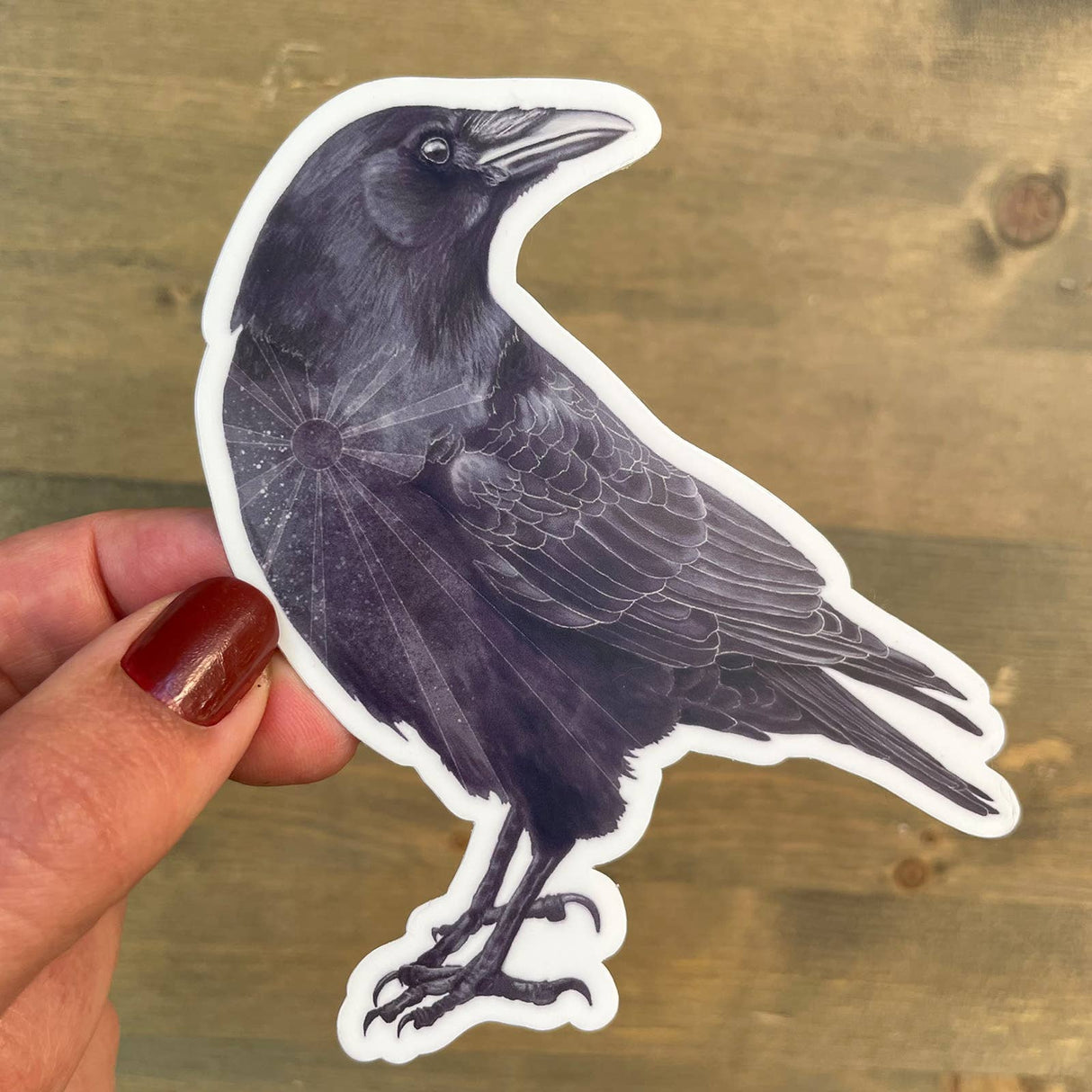 Crow STICKER - The Regal Find