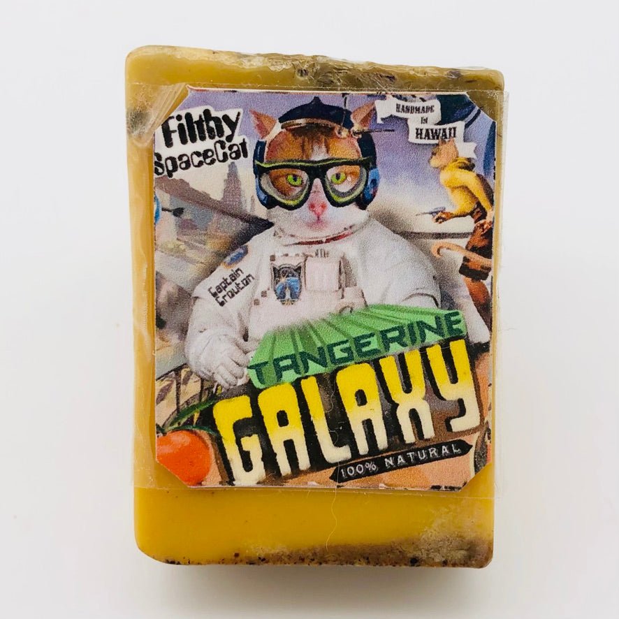 Filthy Farm Girl Spacecat Soap Mini-bar - The Regal Find