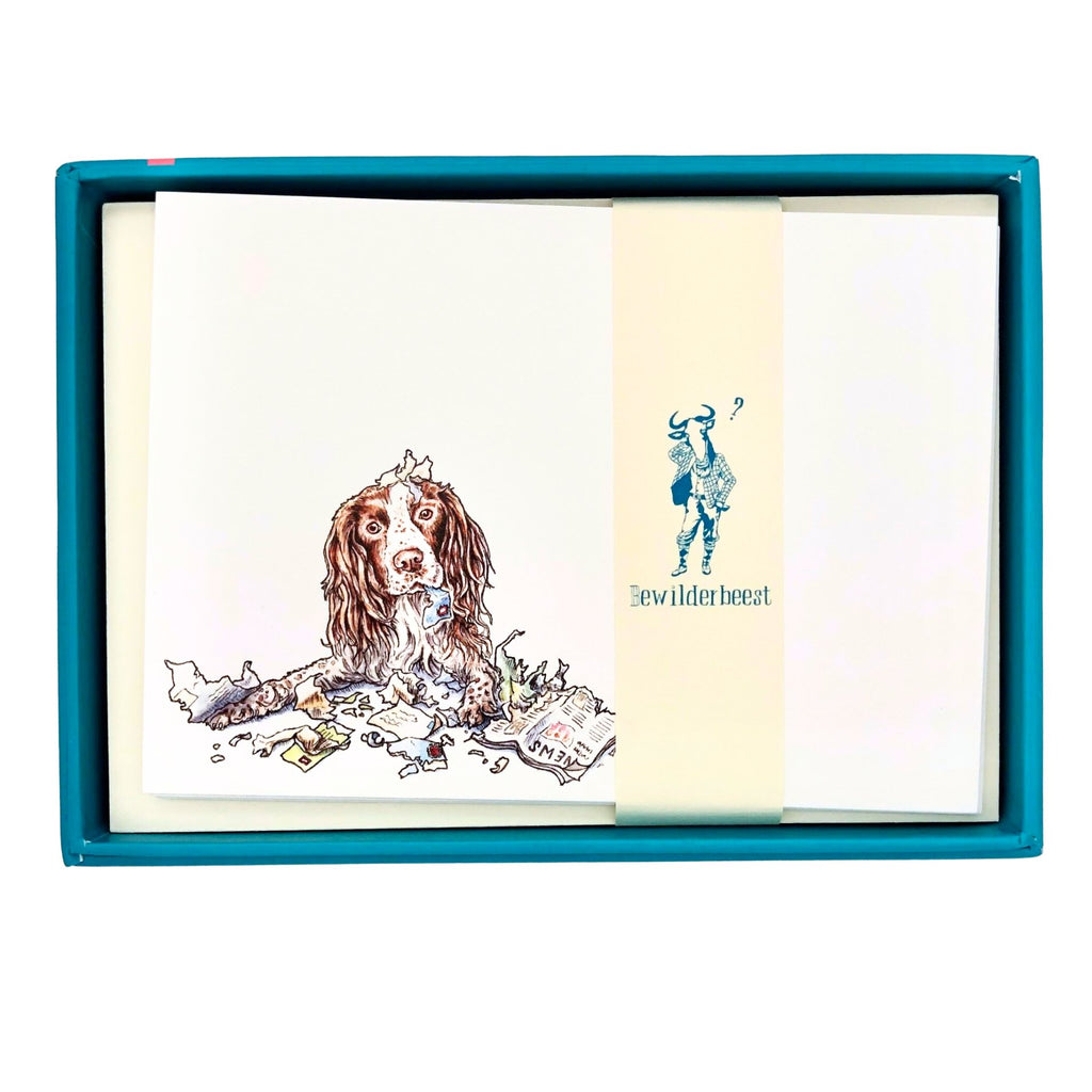 First Class 'Pawst' Notecards Set - Dogs Notecards Set - The Regal Find