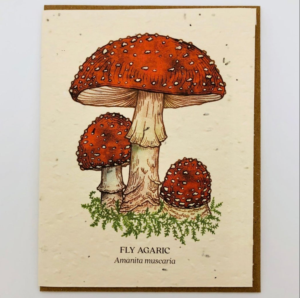 Fly Agaric Mushroom Plantable Wildflower Seed Card - The Regal Find