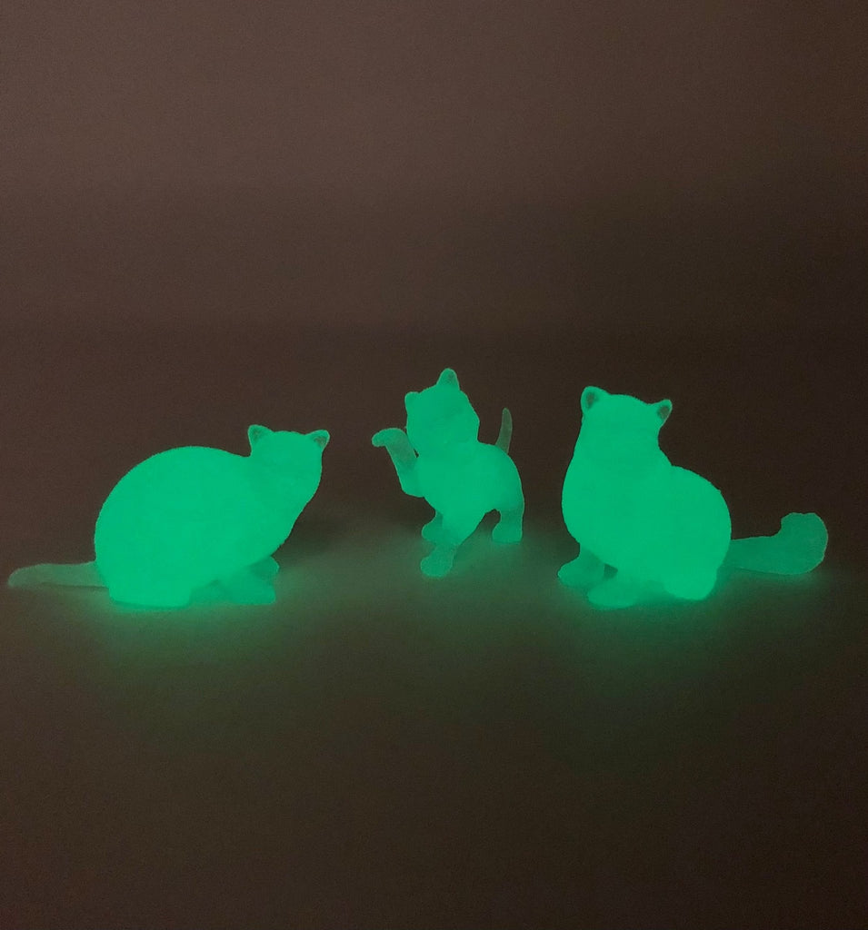 Glow Cats - The Regal Find