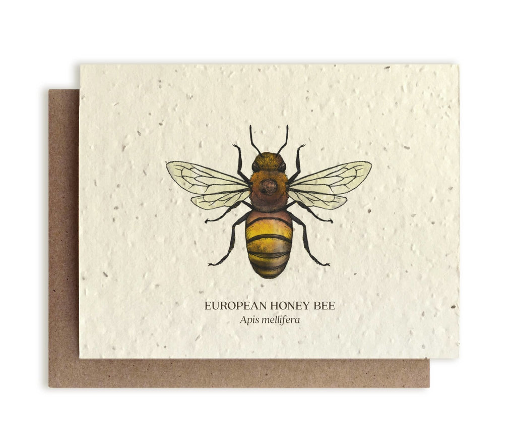 Honey Bee Plantable Wildflower Seed Card - The Regal Find