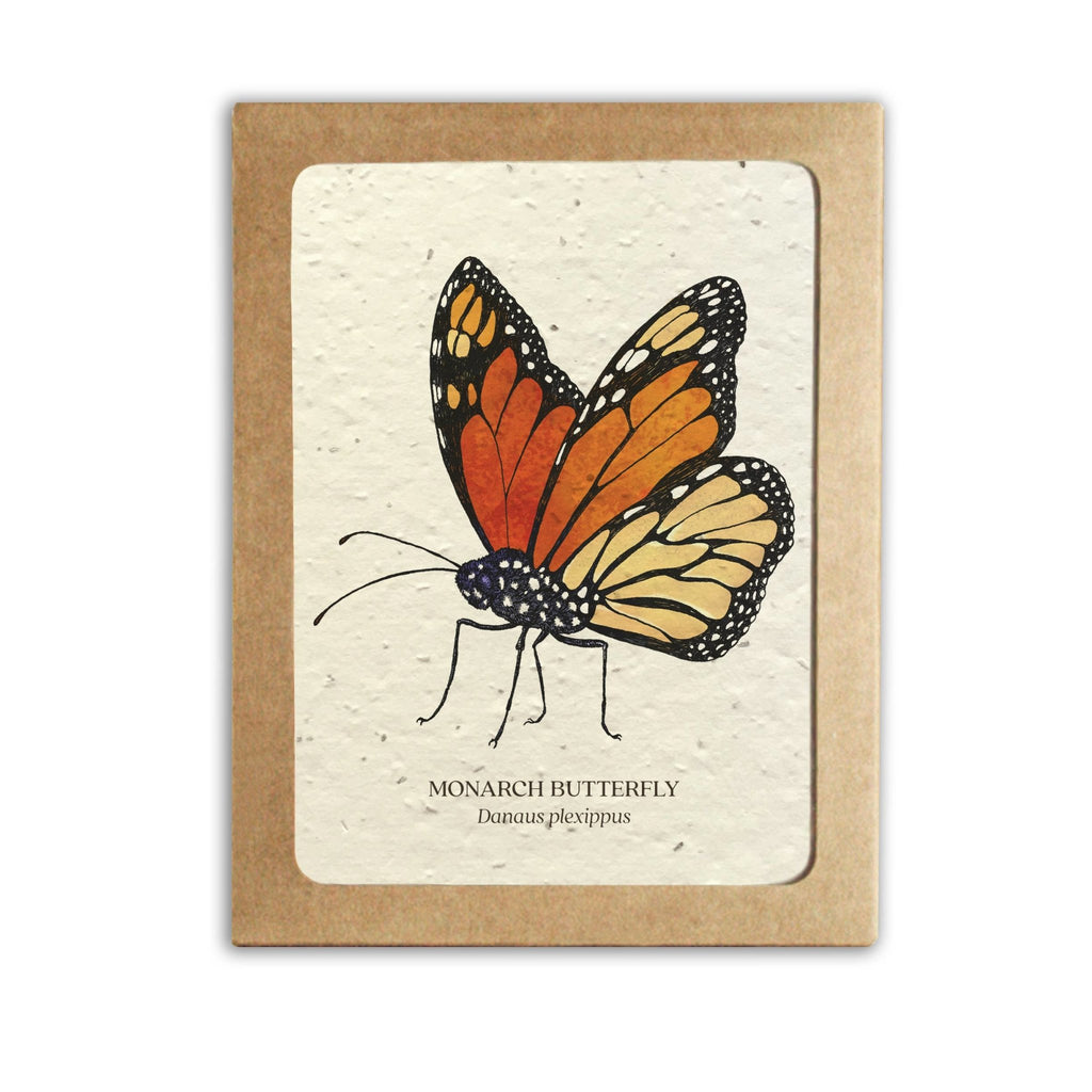 Insect Card Set of 8- Plantable Wildflower Paper - The Regal Find