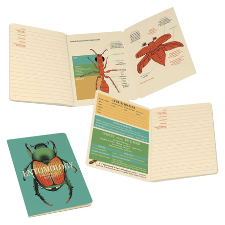 Insect (Entomology) Notebook - The Regal Find