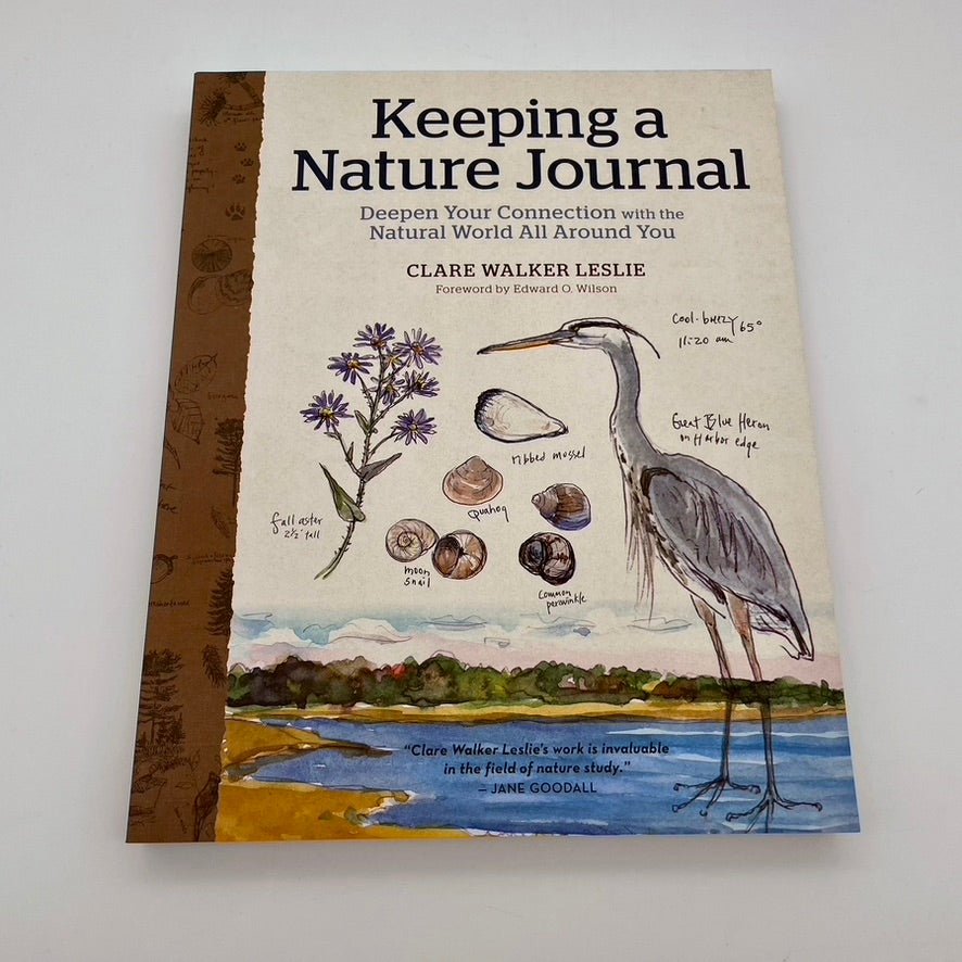 Keeping a Nature Journal - The Regal Find