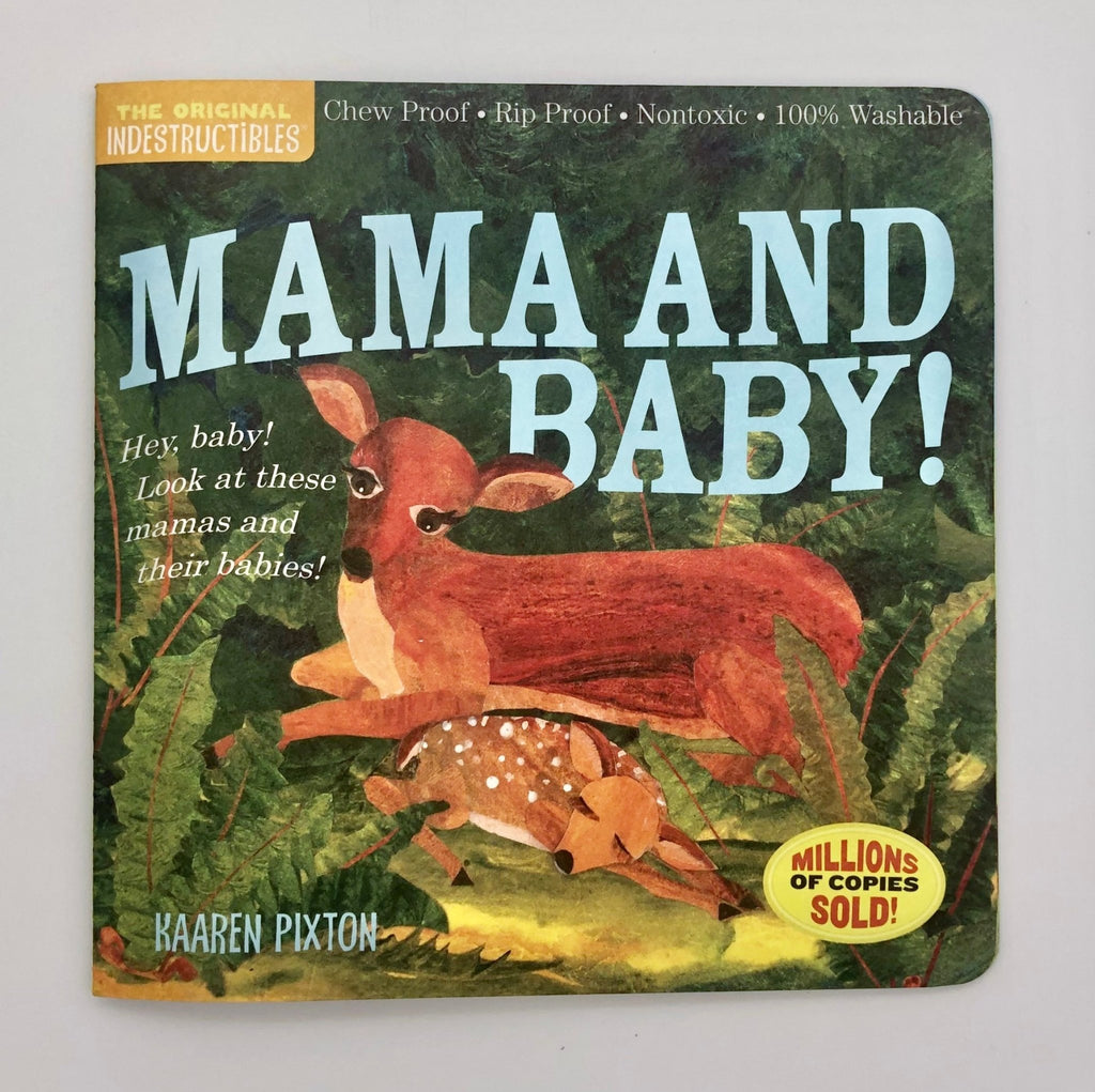 Mama and Baby! Indestructible Book - The Regal Find