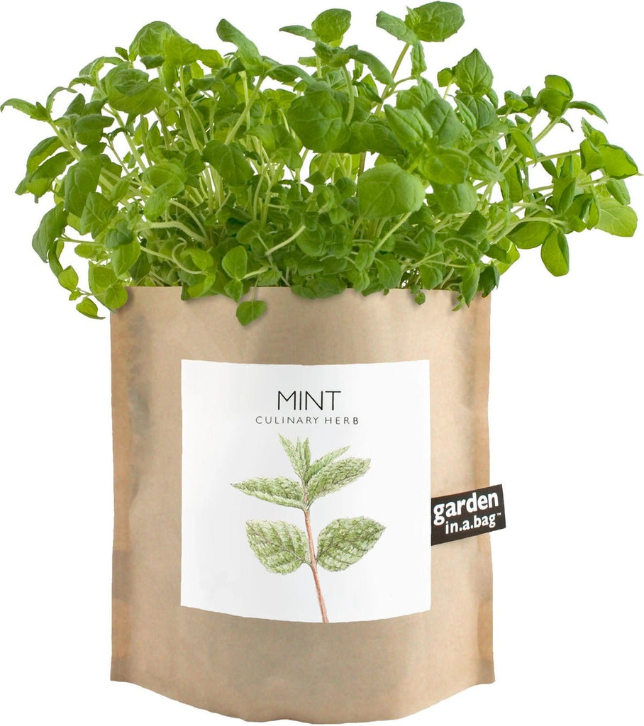 Mint Garden in a Bag - The Regal Find