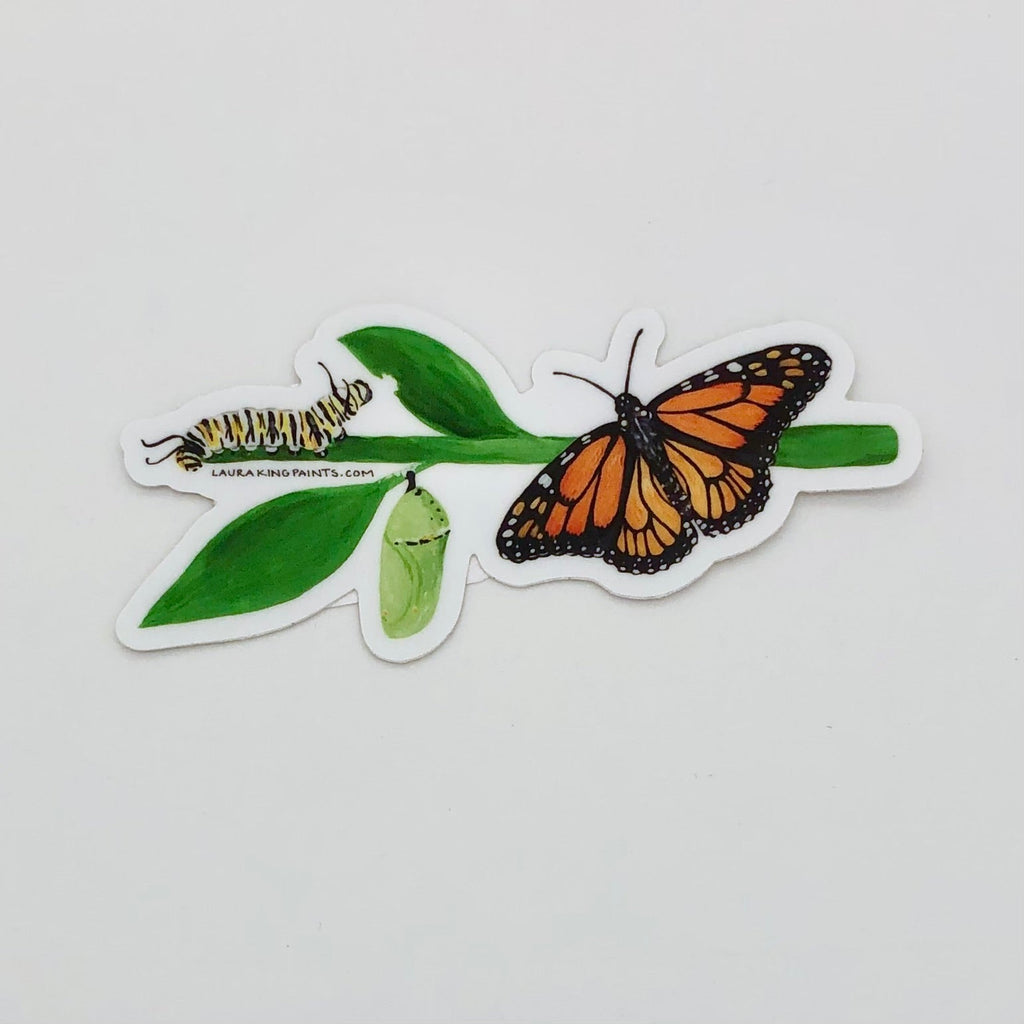 Monarch Butterfly Metamorphosis Sticker - The Regal Find