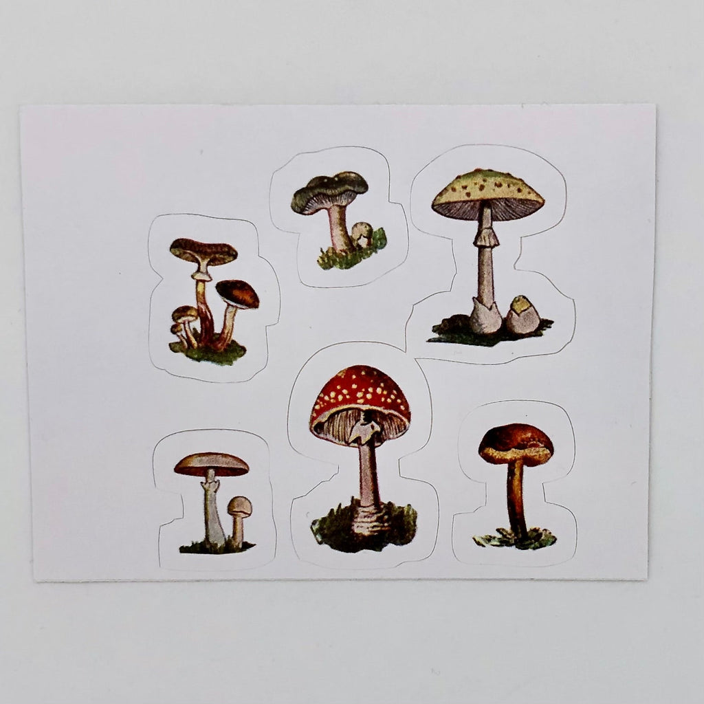 Mushroom Bonanza Sticker - The Regal Find