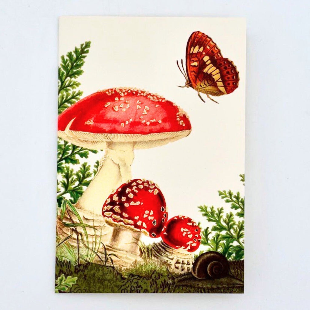 Mushrooms Mini Card - The Regal Find