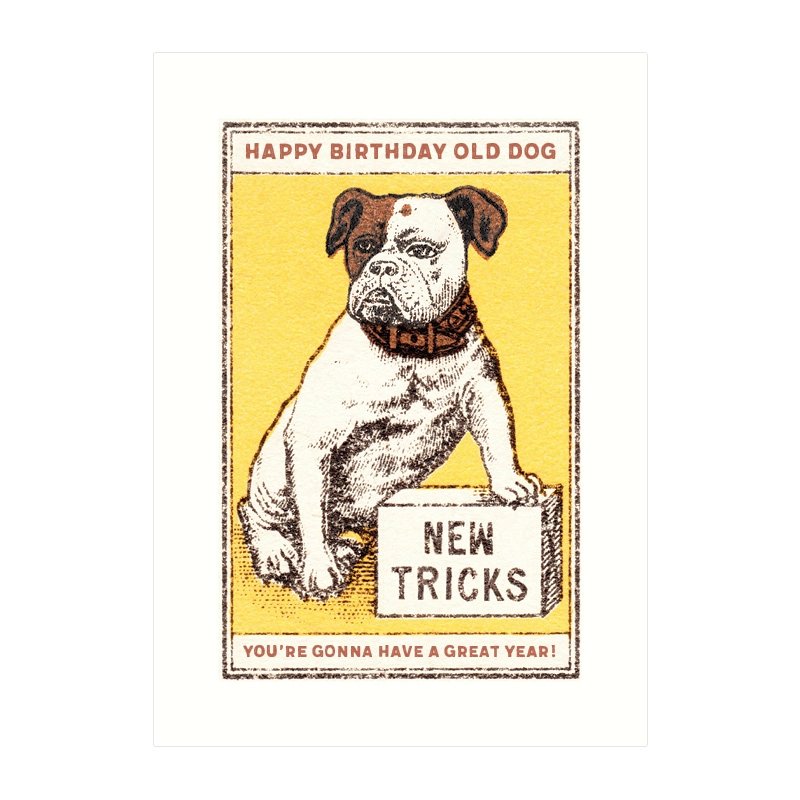 New Tricks Birthday Card - The Regal Find