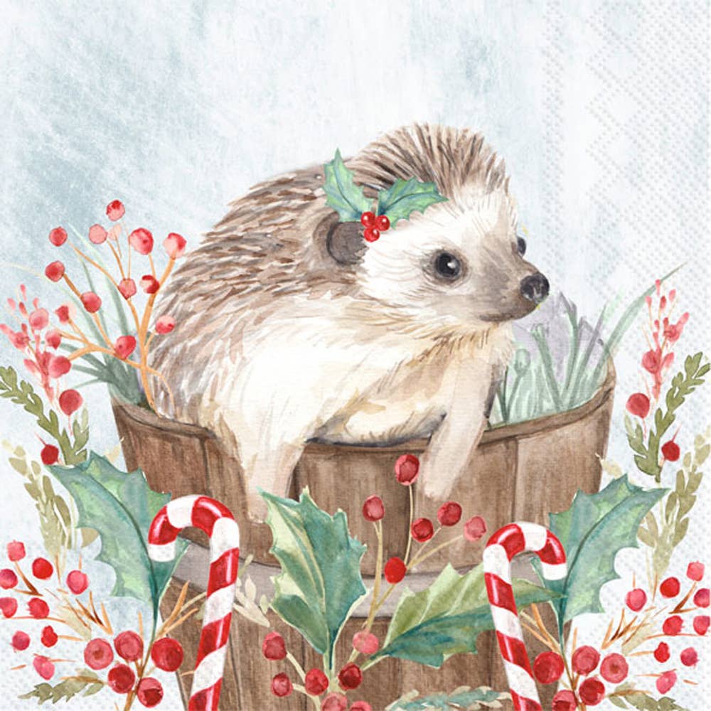 Paper Cocktail Napkins 20 ct Holiday Hedgehog Christmas - The Regal Find