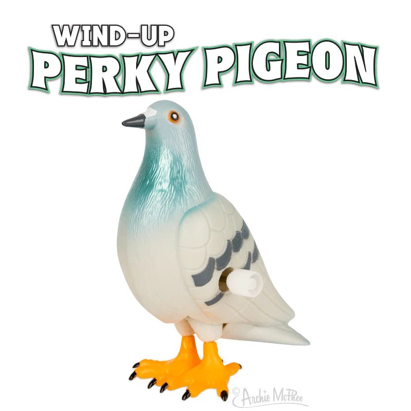 Perky Pigeon - The Regal Find
