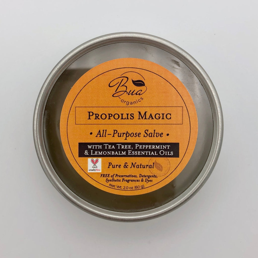 Propolis Magic Salve - The Regal Find
