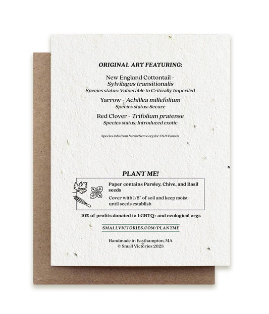 Rabbit Gathering Herbs Plantable Herb Seed Card: No Sleeves - The Regal Find