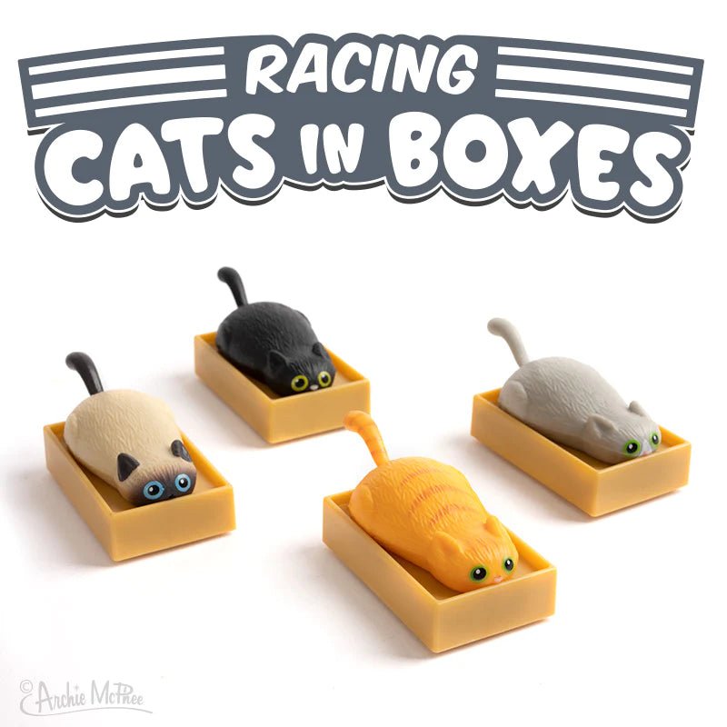 Racing Cat In A Box - The Regal Find