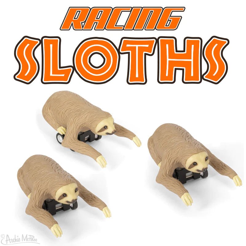 Racing Sloths - The Regal Find