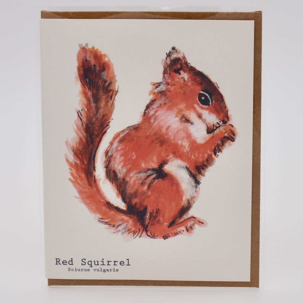 Red Squirrel Card - The Regal Find