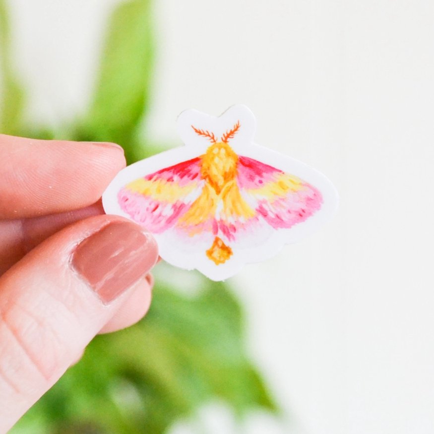 Rosy Pink Maple Moth Tiny Sticker - The Regal Find