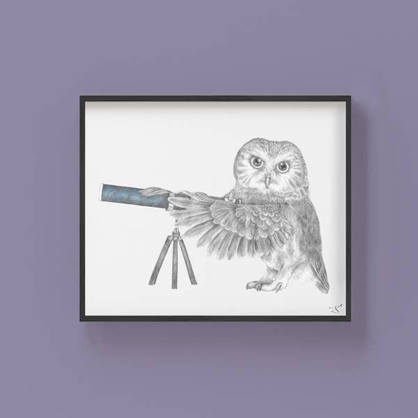 Saw Whet Owl Art Print - The Regal Find