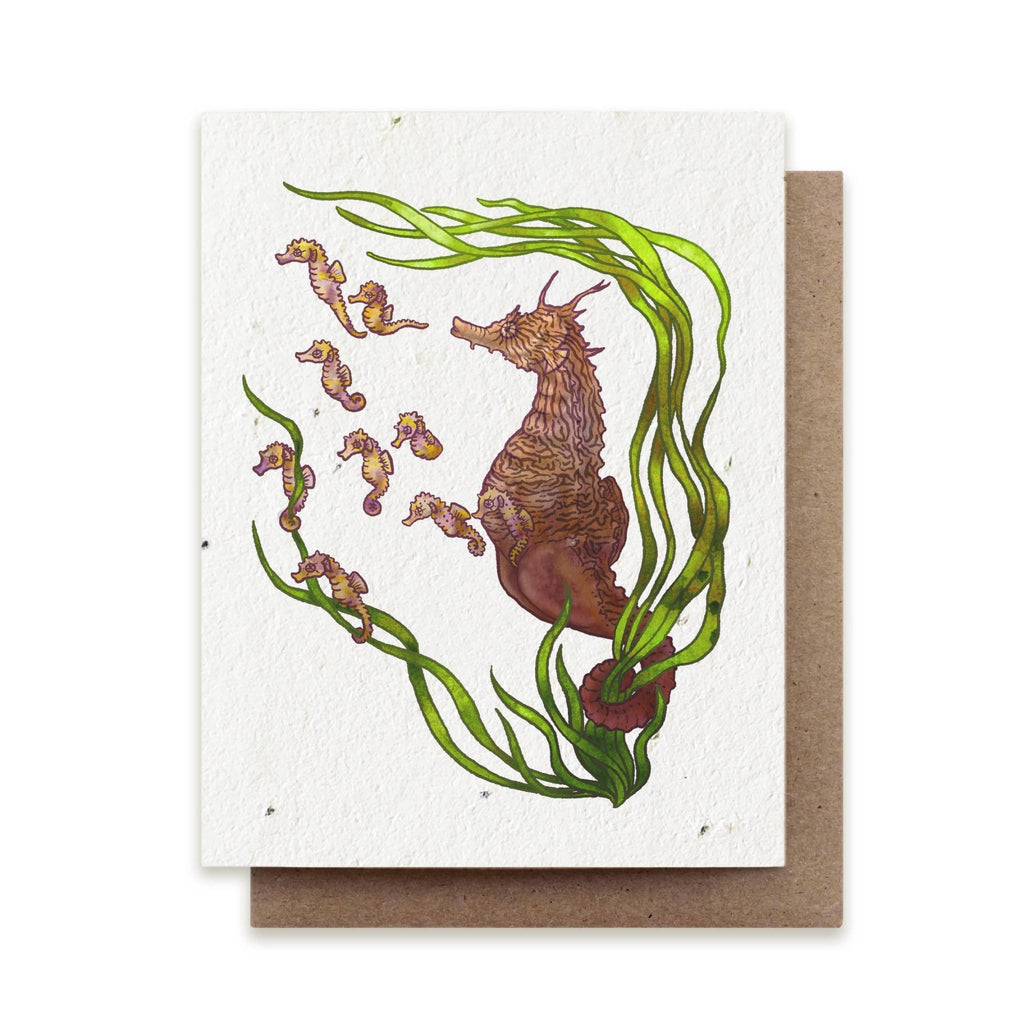 Seahorse Father Plantable Herb Seed Card - The Regal Find