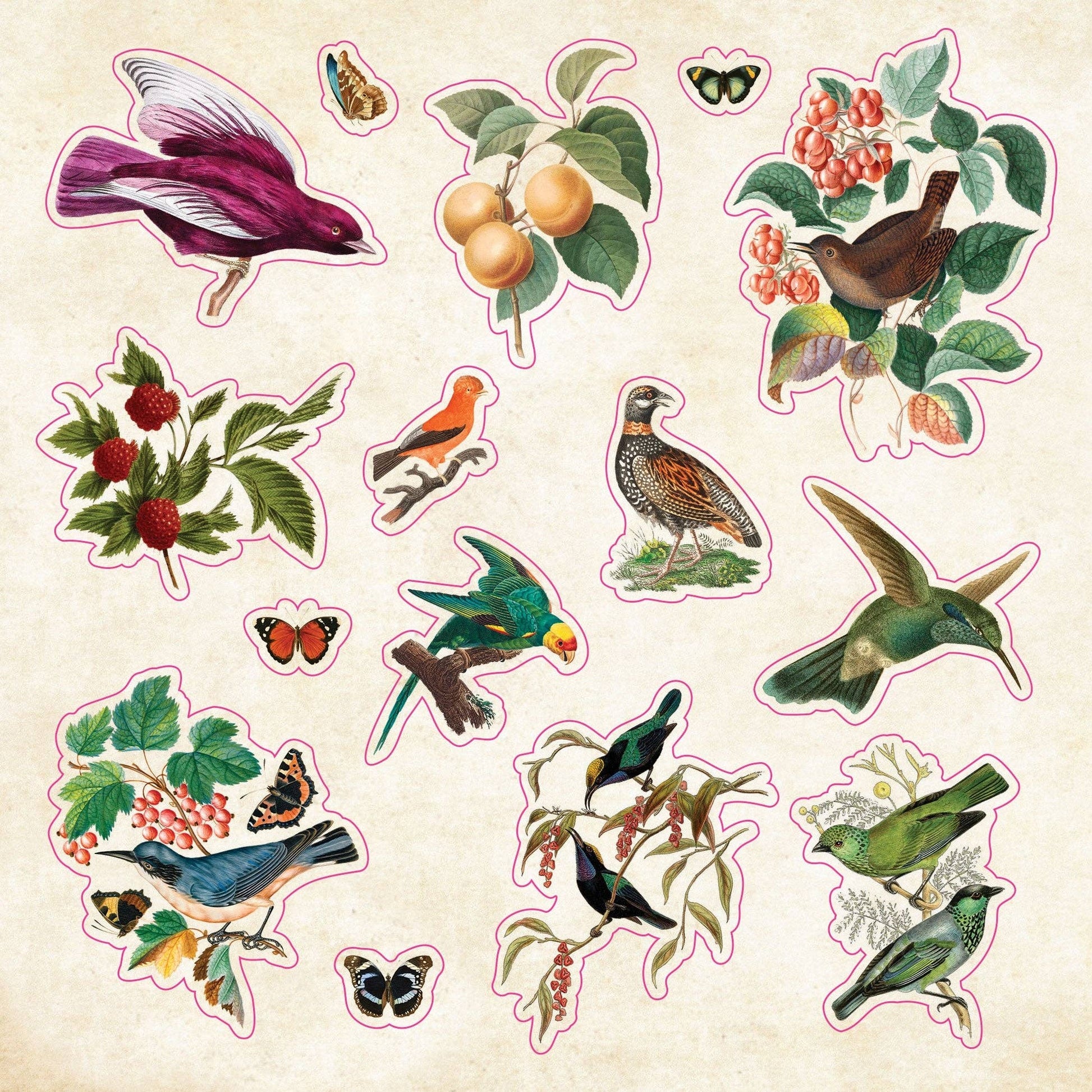 The Sticker Book of Curiosities - The Regal Find
