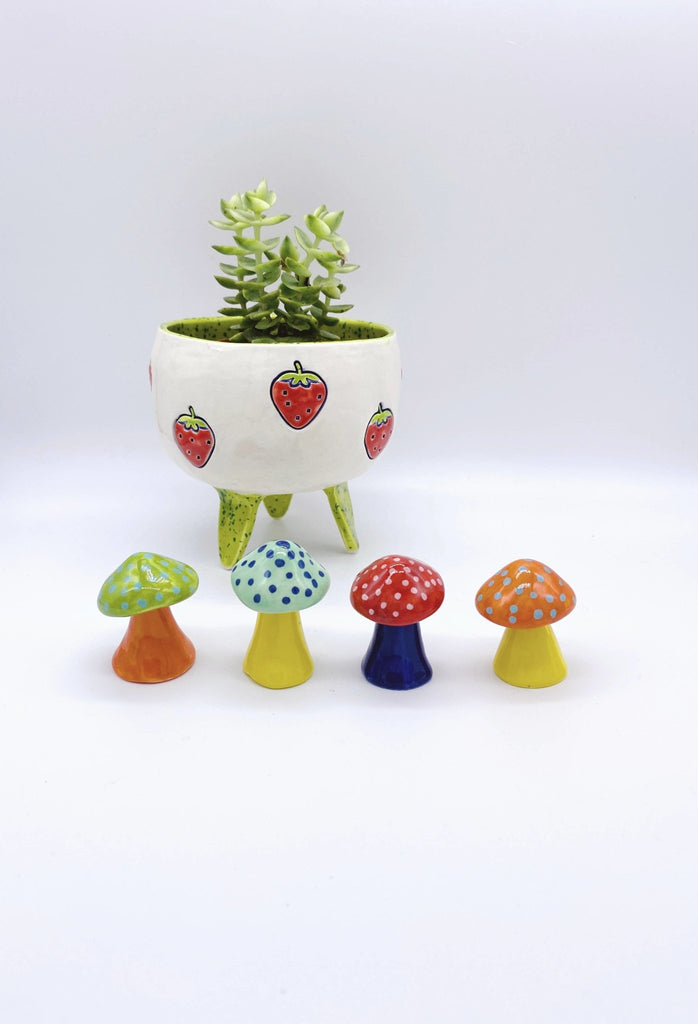 Tiny Mushrooms - The Regal Find
