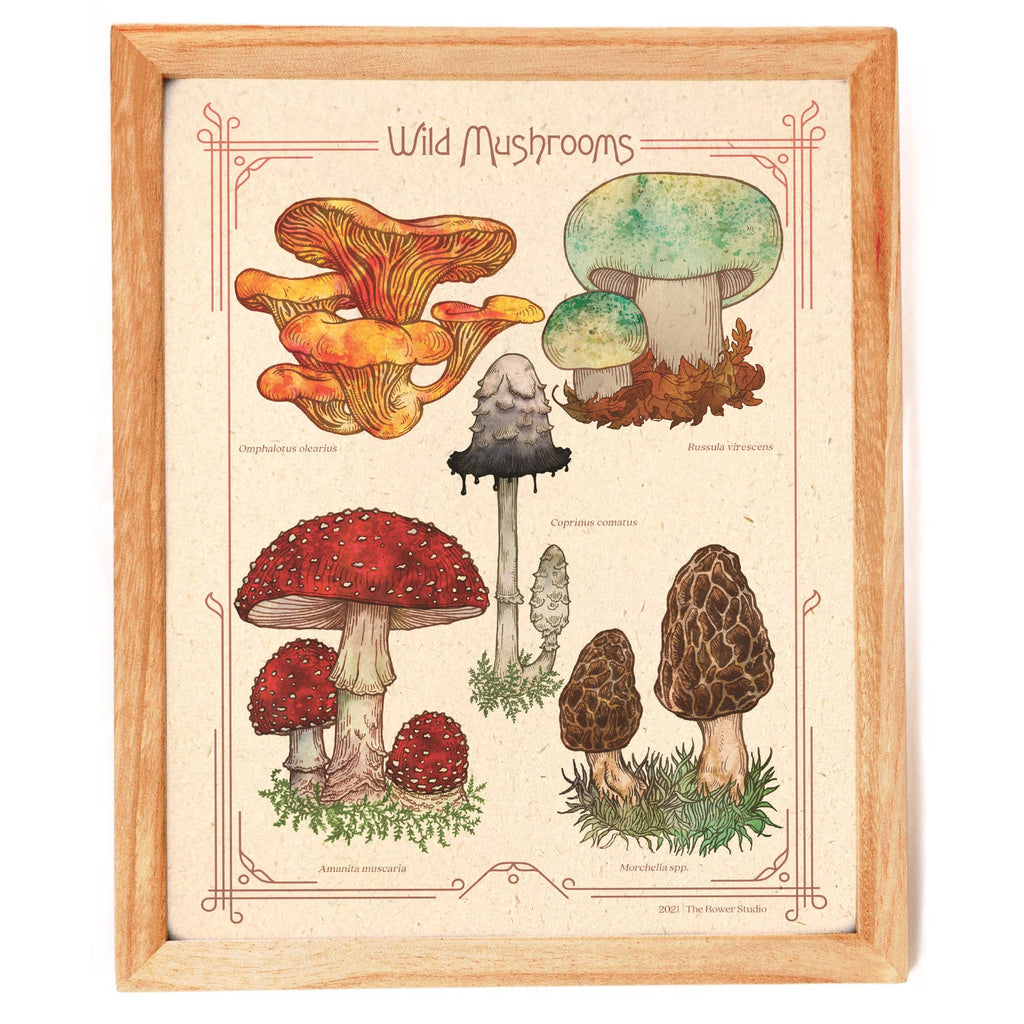 Wild Mushrooms Print - The Regal Find